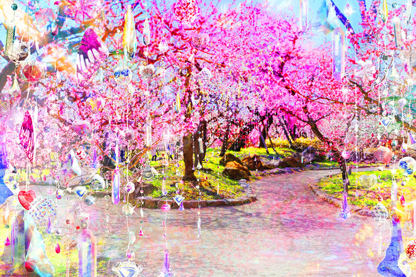 梅苑《 光と花の庭 》イメージ