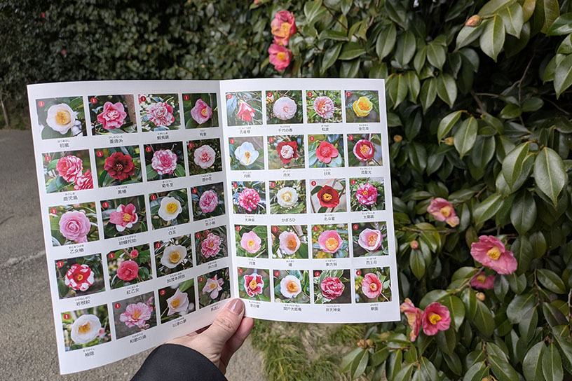 神苑のパンフレット