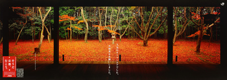 大徳寺(高桐院)