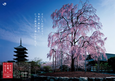 東寺(教王護国寺)