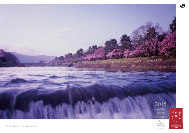 2015年 春「20周年」