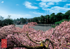 京都御所 京都御苑