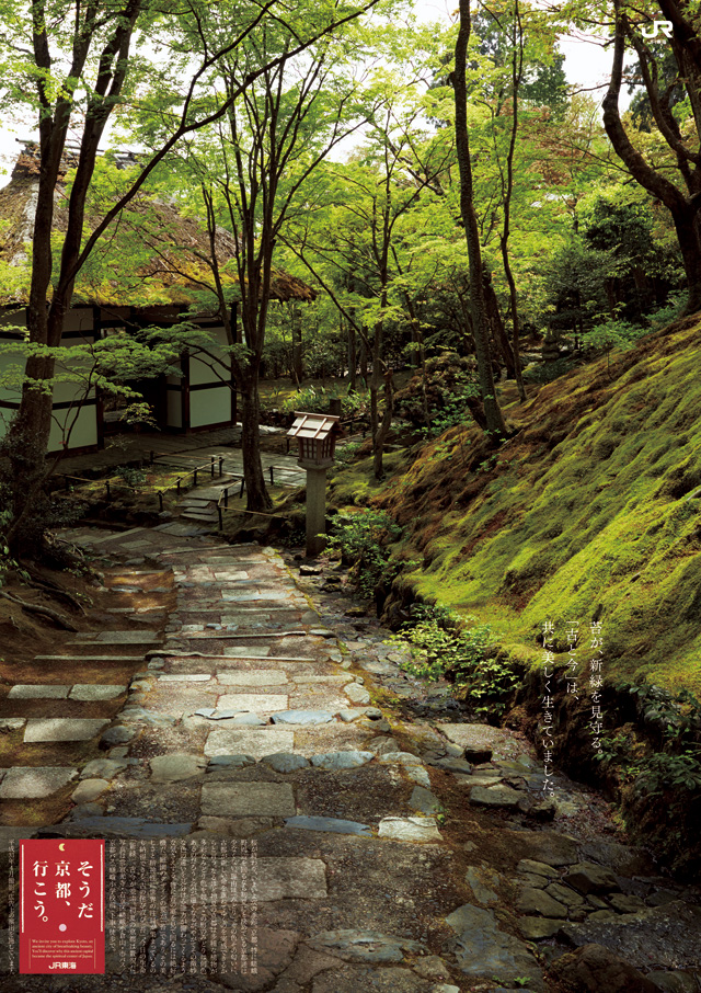 2019年 初夏「苔と新緑編」