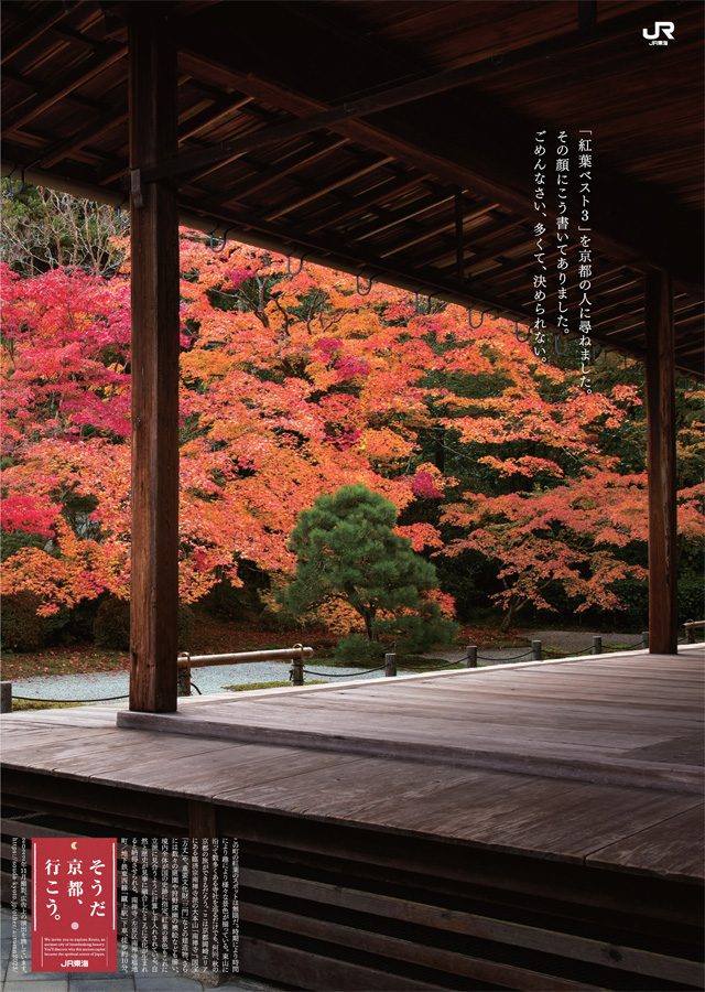 2023年 秋「紅葉ベスト3」