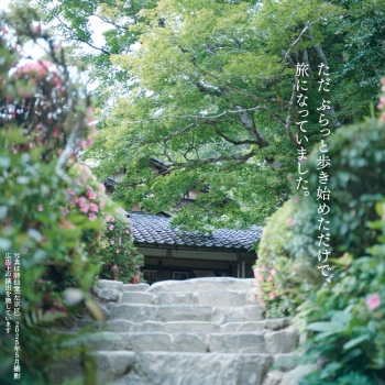 京菓子づくりを支える菓子木型の世界｜そうだ 京都、行こう。