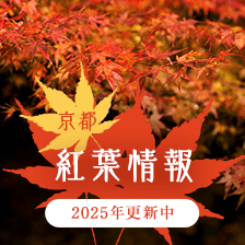 京都 紅葉情報｜そうだ 京都、行こう。