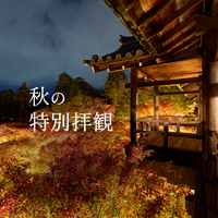 秋の特別拝観
