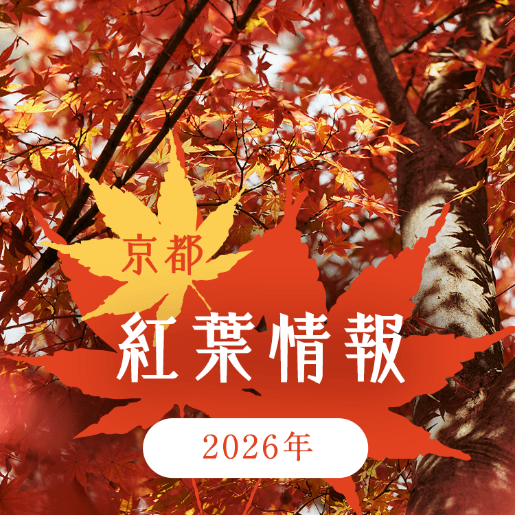 京都 紅葉情報