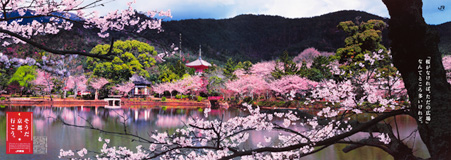 大覚寺・大沢池