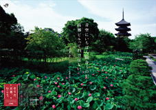 東寺（教王護国寺）