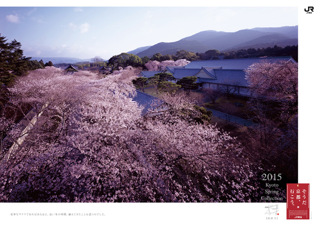 2015年 春「20周年」