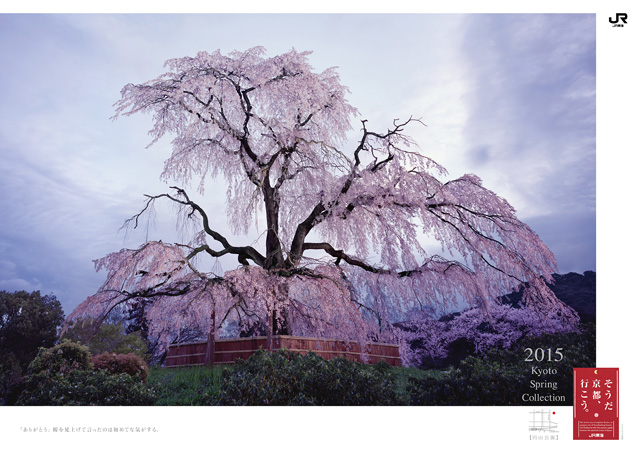 2015年 春「20周年」