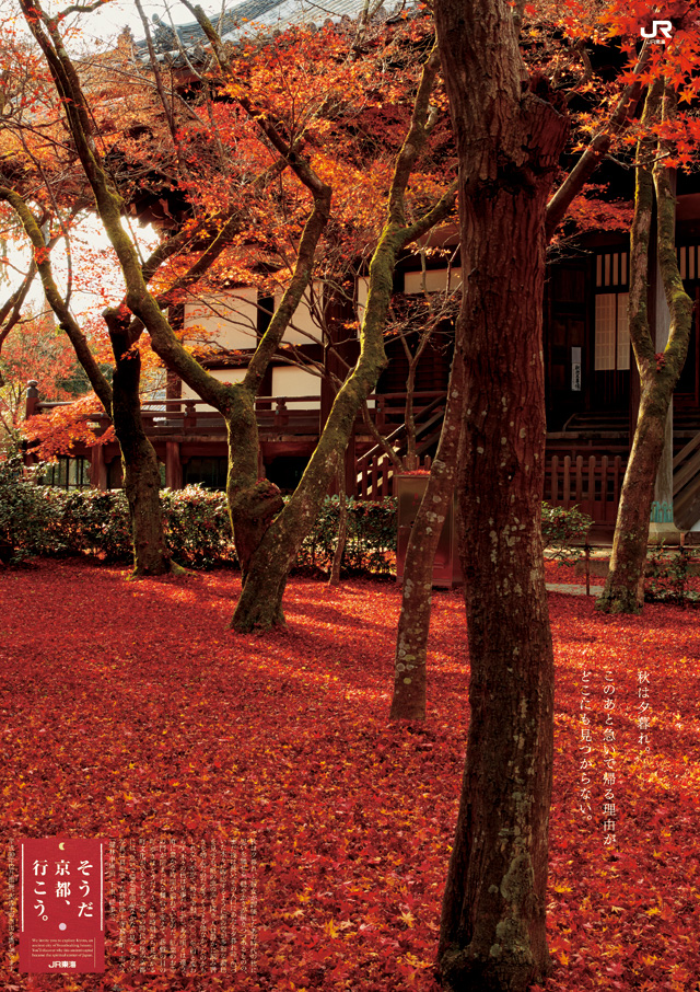 2019年 盛秋「秋は夕暮れ編」