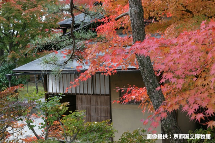 建築×紅葉を楽しむ！