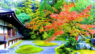 醍醐寺