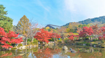 円山公園