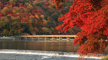 嵐山公園