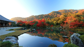 天龍寺