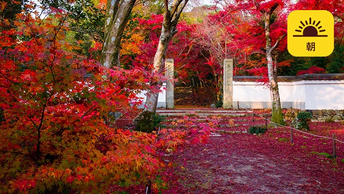 浄住寺