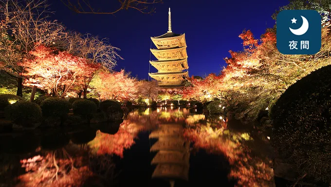 東寺