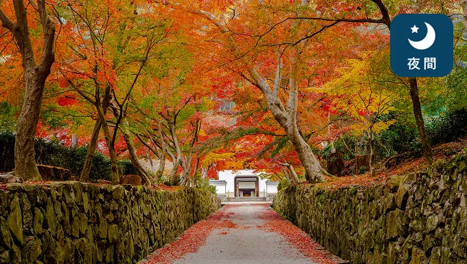 興聖寺