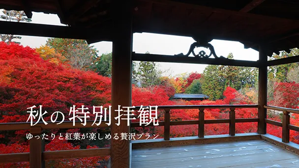 京都　秋の特別拝観