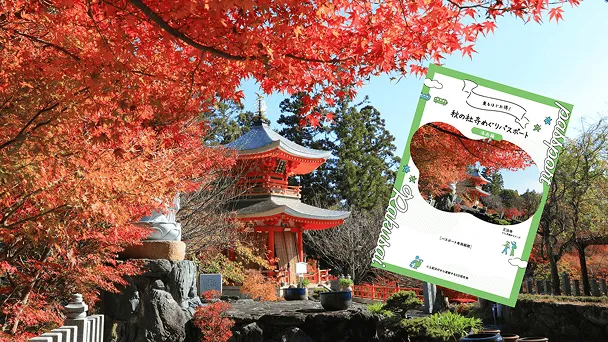 乗るほどお得!秋の社寺めぐりパスポート【洛西編】