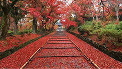 毘沙門堂門跡