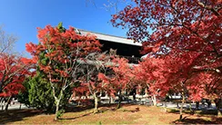 南禅寺