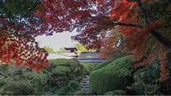 詩仙堂丈山寺