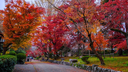 鷺森神社