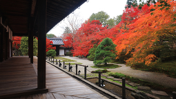 南禅寺 天授庵