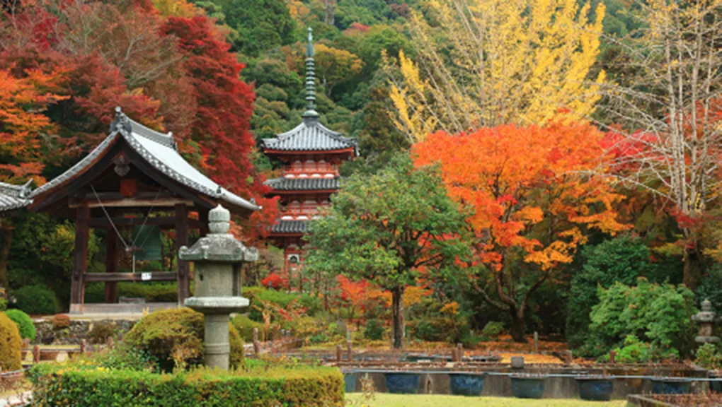 三室戸寺