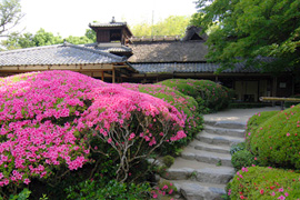 古都で愛でる、四季の和花