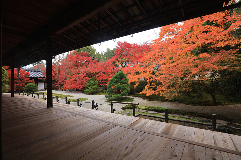 ストレスフリーで快適！ 地下鉄でめぐる京都の紅葉狩り