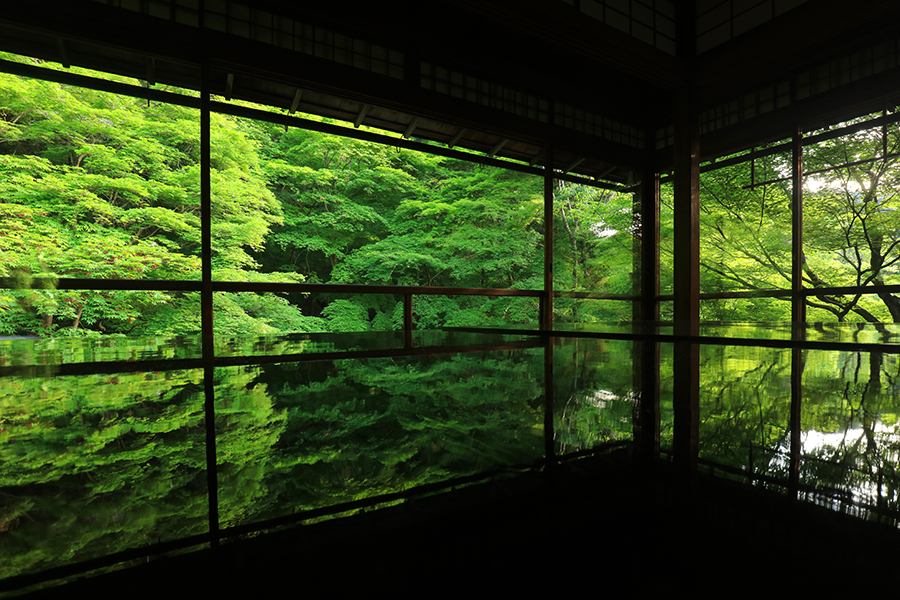京都の絶景 瑠璃光院の見どころ 御朱印 アクセスは そうだ 京都 行こう