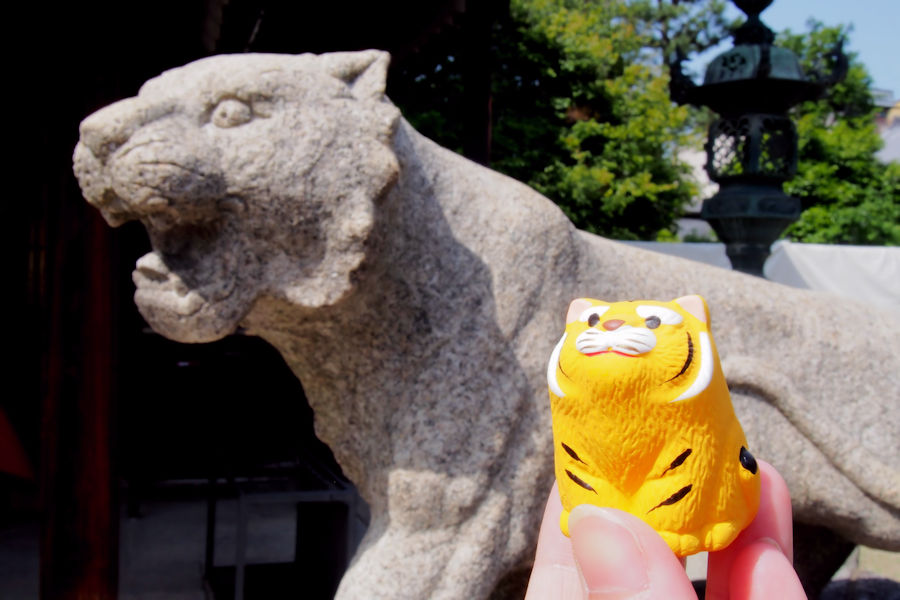 旬の花に囲まれて ゆるみくじ 初夏の花名所編 そうだ 京都 行こう