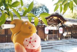 春爛漫の京都で発見！ ゆるみくじ・桜編｜そうだ 京都、行こう。