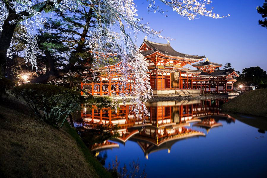 春の京都 おすすめ桜ライトアップと夜間特別拝観 そうだ 京都 行こう