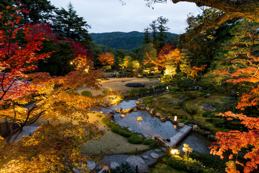 おすすめ京都紅葉ライトアップ 密回避のポイント解説 そうだ 京都 行こう