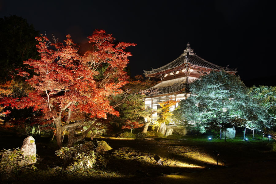 おすすめ京都紅葉ライトアップ 密回避のポイント解説 そうだ 京都 行こう