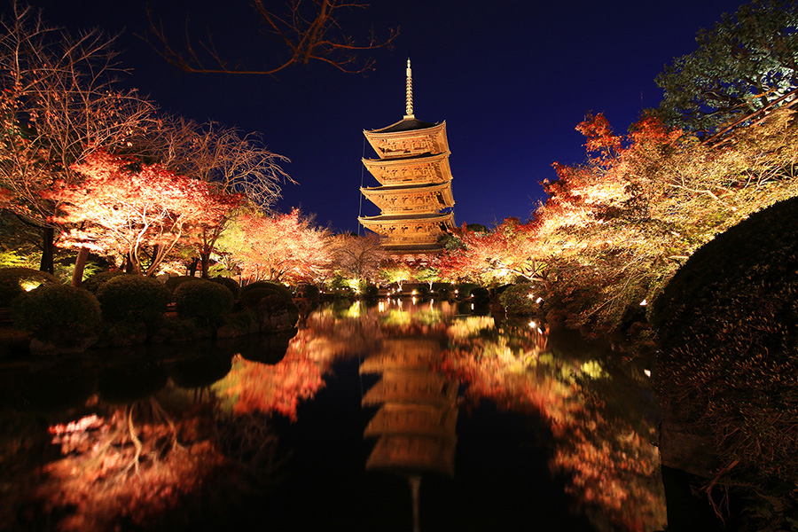 おすすめ京都紅葉ライトアップ 密回避のポイント解説 そうだ 京都 行こう