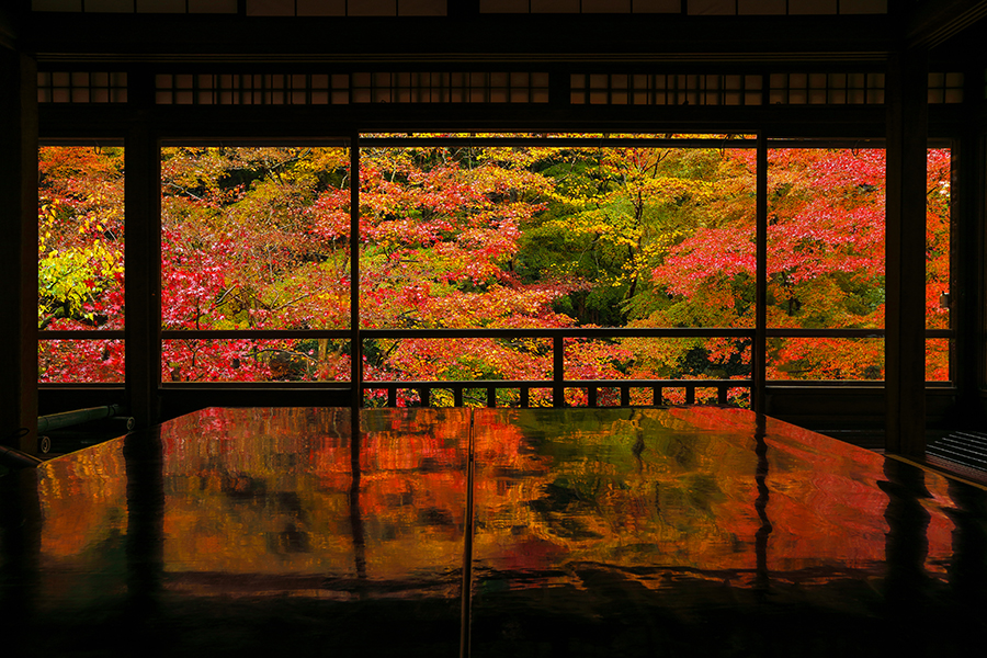 秋の京都 瑠璃光院 紅葉の見頃 アクセス 御朱印 ライトアップは そうだ 京都 行こう