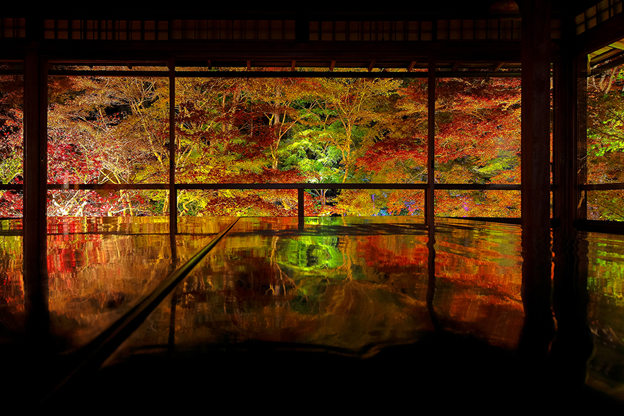 秋の京都 瑠璃光院 紅葉の見頃 アクセス 御朱印 ライトアップは そうだ 京都 行こう