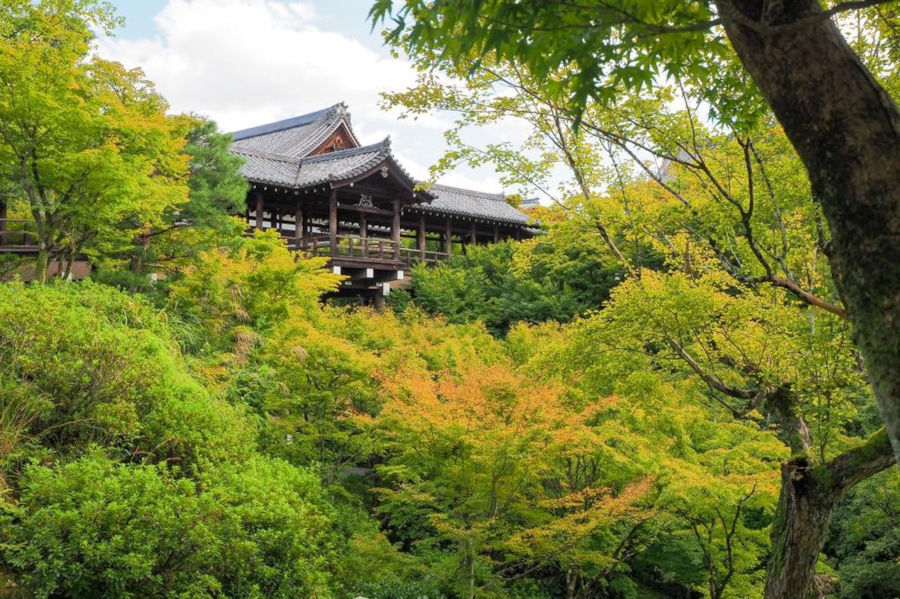 更新スタート 気になる紅葉の色づき状況は そうだ 京都 行こう