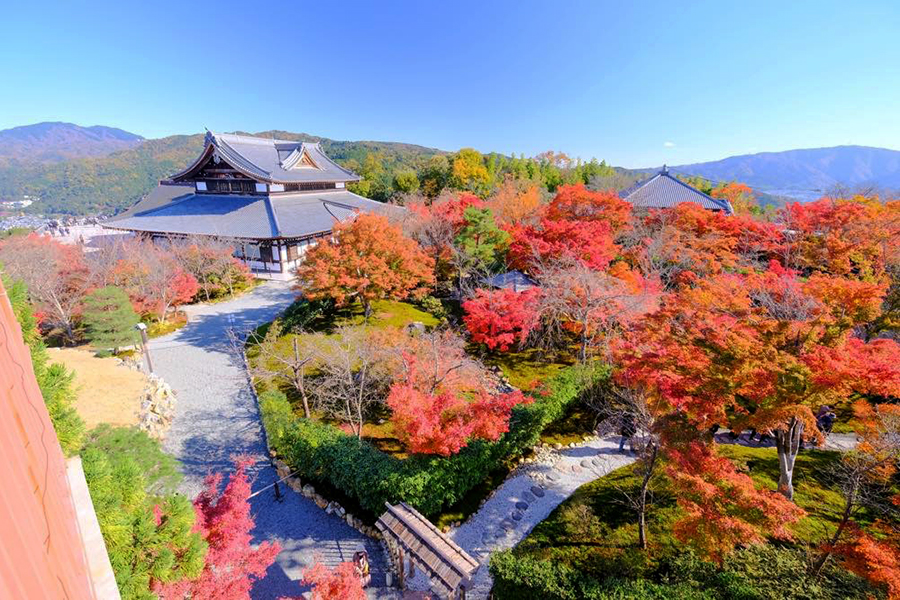 秋の京都を 見下ろす 絶景紅葉スポット そうだ 京都 行こう