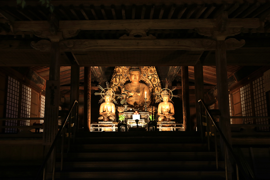 そう京 スタッフが感動した 京都の仏像 如来編 そうだ 京都 行こう