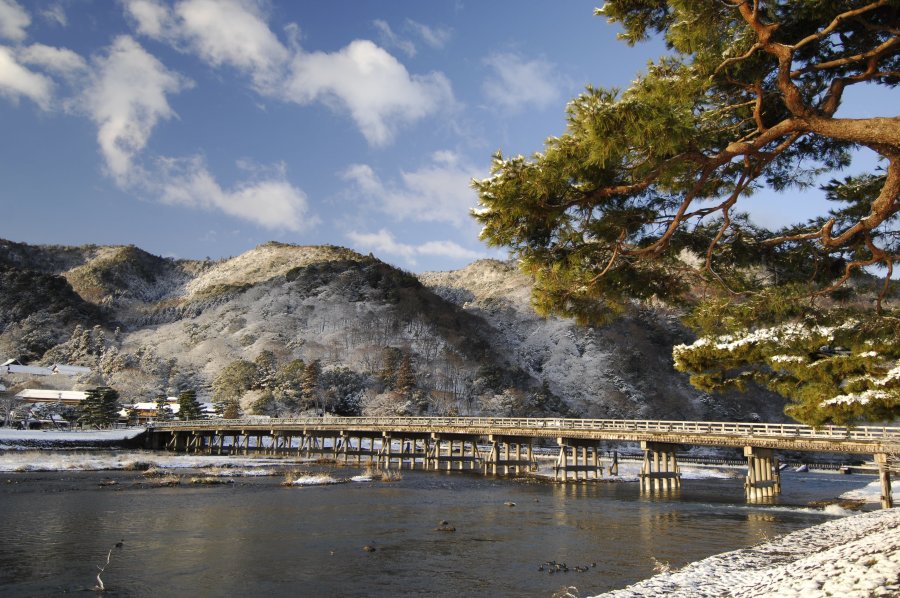 冬の京都で楽しみたいこと8選 雪景色 石庭 グルメほか そうだ 京都 行こう