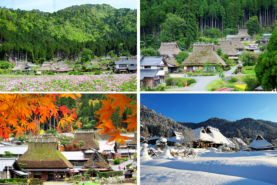 美しい 日本のふるさと 美山 見どころ グルメ アクセスをチェック そうだ 京都 行こう