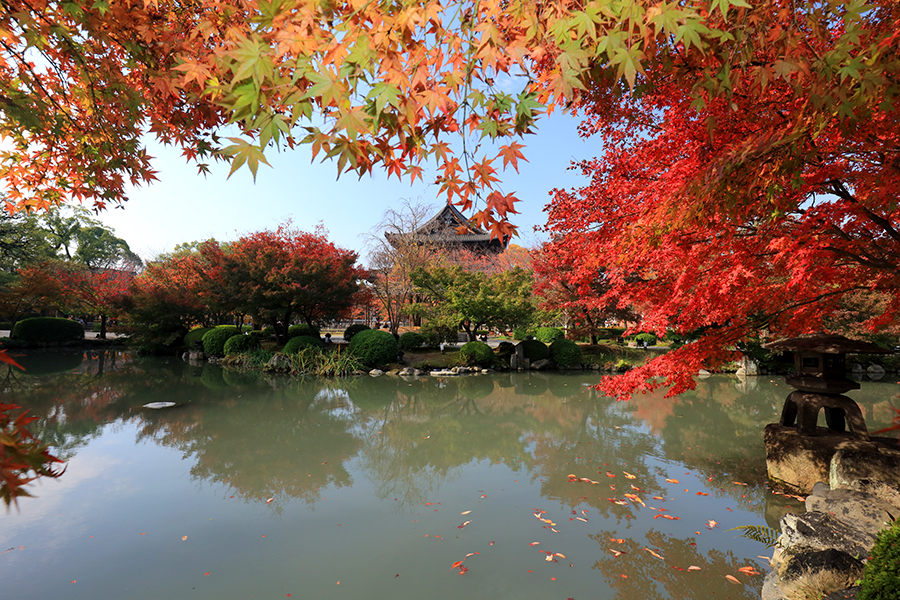 東寺1